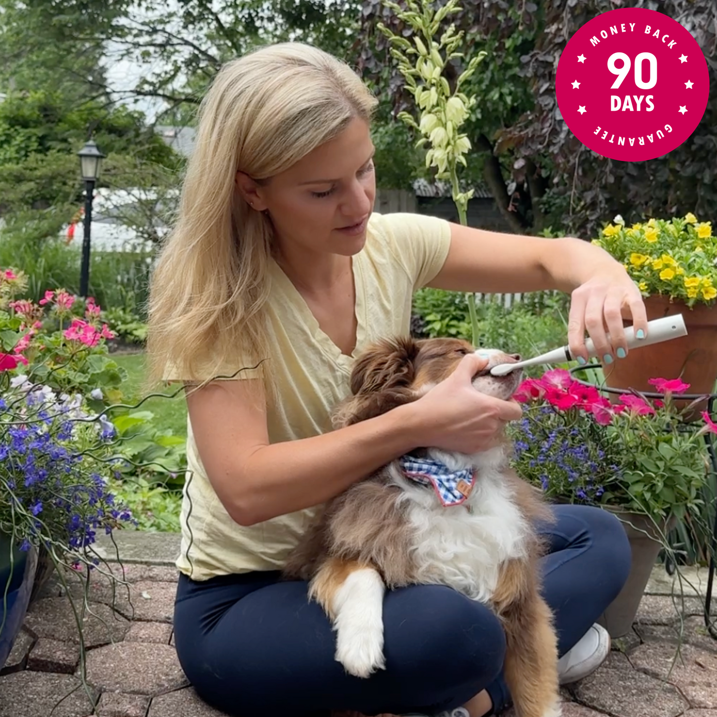 Canident - Sonic Tooth cleaner for dogs