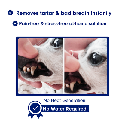 Canident - Sonic Tooth cleaner for dogs