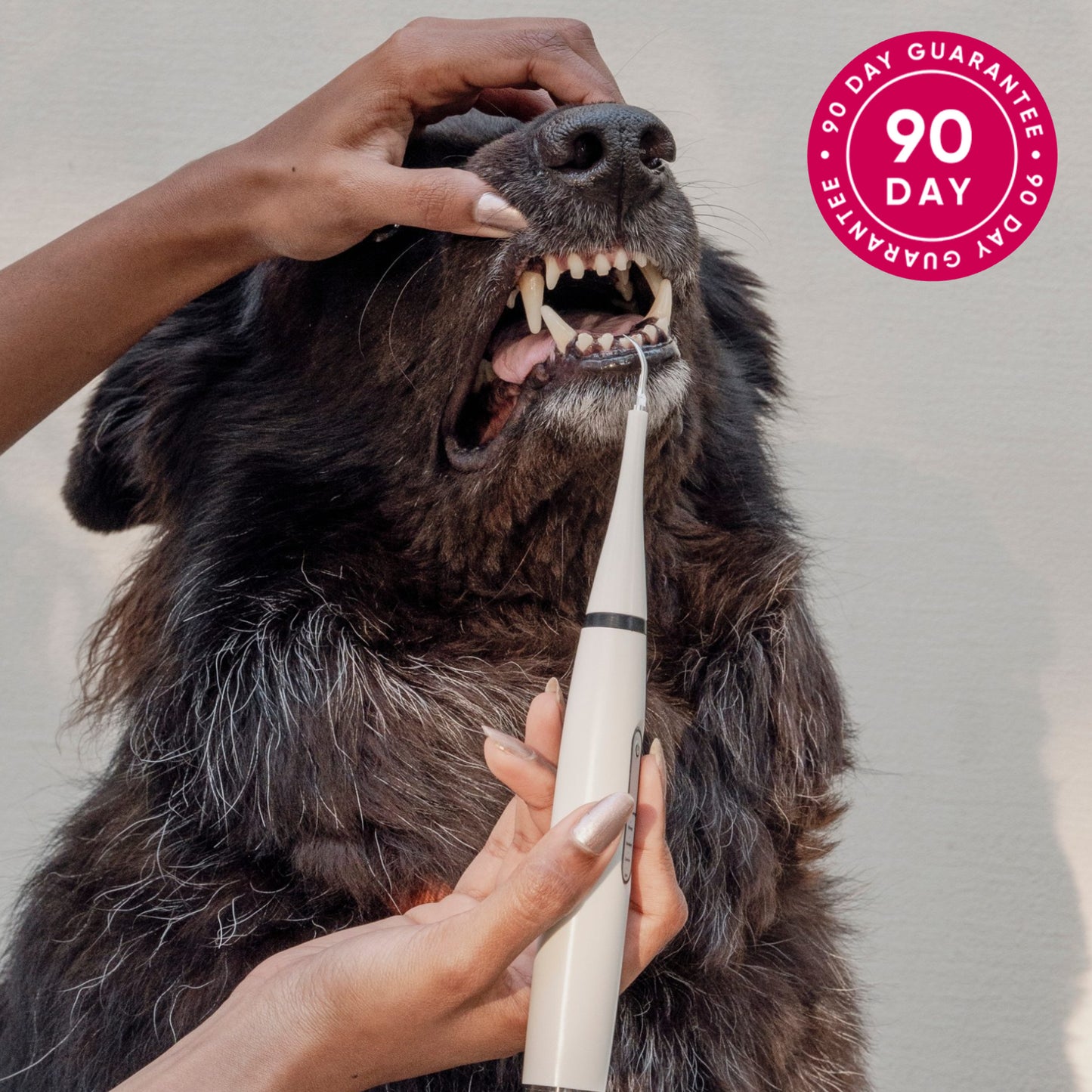 Canident - Sonic Tooth cleaner for dogs